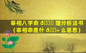 宰相八字命 🐅 理分析法书（宰相命是什 🌻 么意思）
